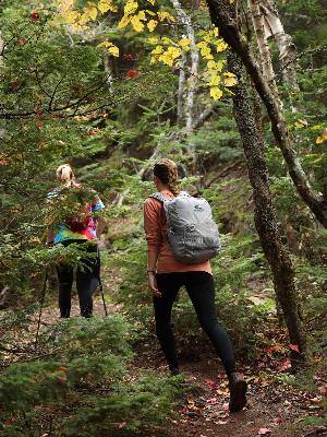 EA Hikers on a previous fundraiser hike!