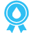 TeamRaiser Achievement Badge
